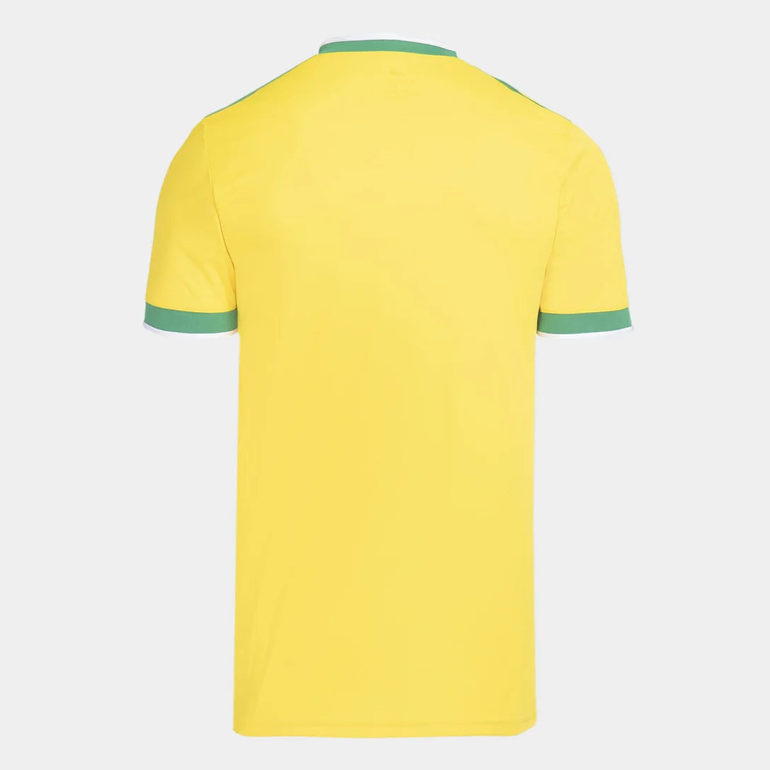 Camisa Masculina Flamengo Brasil Adidas 2026 - Amarelo+Verde