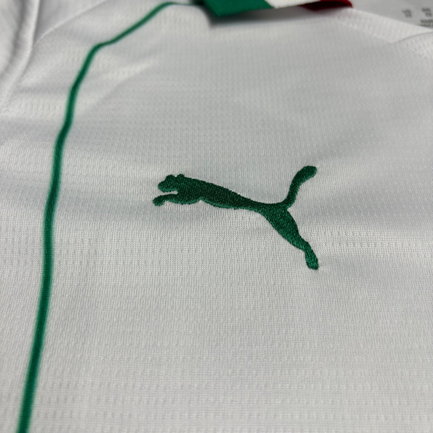 Conjunto Infantil Palmeiras 2026/27