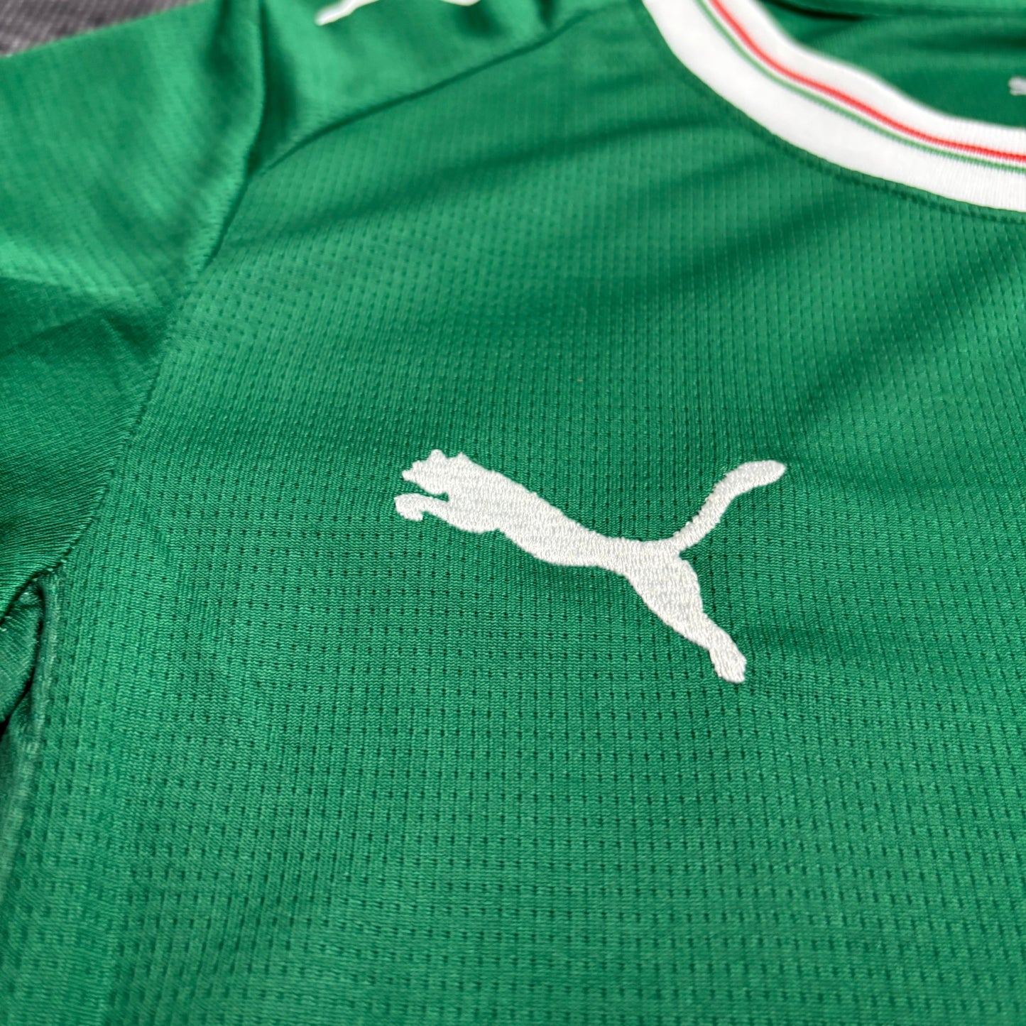 Conjunto Infantil Palmeiras 2026/27