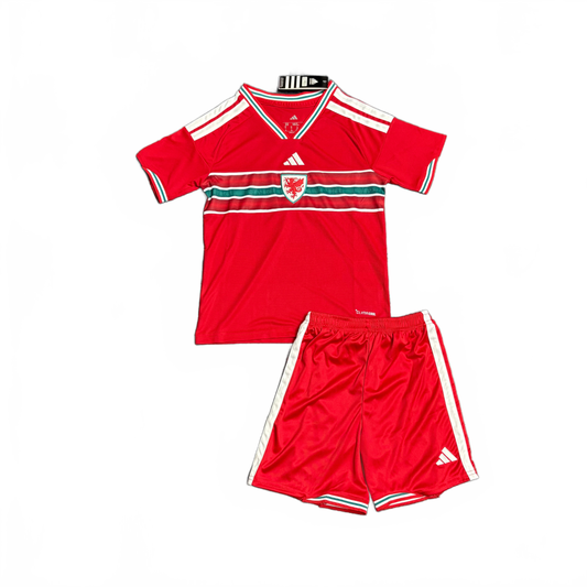 Conjunto Infantil País de Gales 2026/27