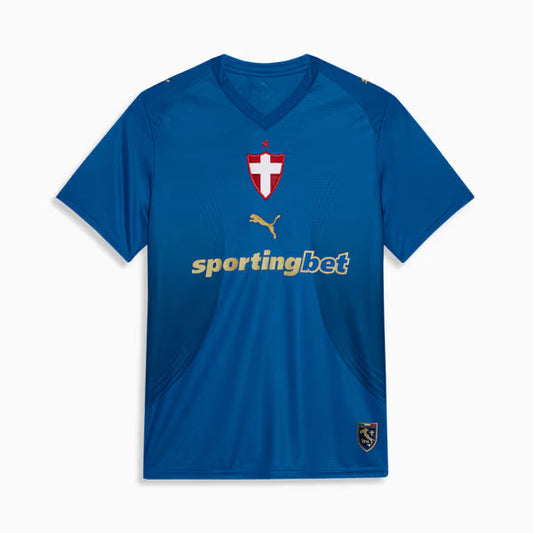 Camisa Puma Palmeiras III 2026/27